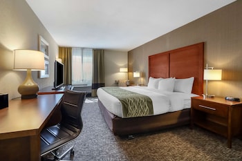 Standard Room, 1 King Bed, Non Smoking