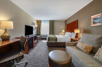 Standard Room, 1 King Bed, Non Smoking
