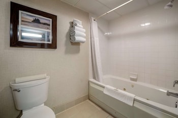 Standard Room, 1 King Bed, Non Smoking, Jetted Tub