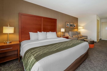 Standard Room, 1 King Bed, Non Smoking