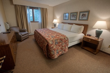 Deluxe One Bedroom King Suite