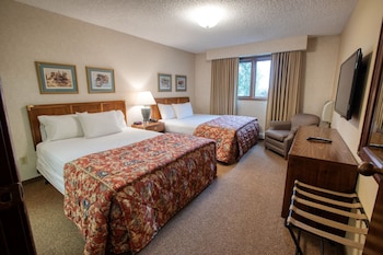 Junior Single Room