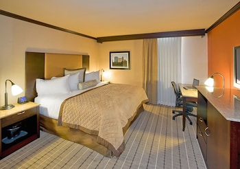 Room, 1 King Bed, Accessible, Non Smoking (Mobility, Bathtub w/Grab Bars)
