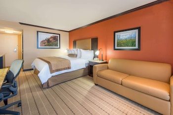Room, 1 King Bed, Non Smoking