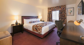 Suite, 1 King Bed with Sofa bed