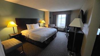 Room, 1 King Bed