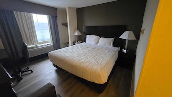 Room, 1 King Bed