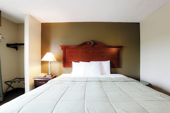 Suite, 1 King Bed
