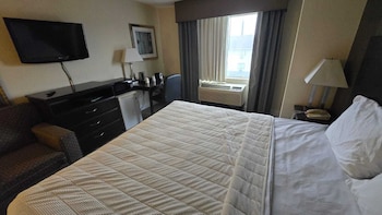 Room, 1 King Bed