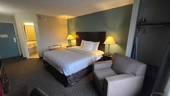 Room, 1 King Bed