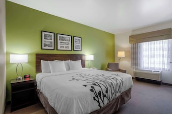 Suite, 1 King Bed with Sofa bed, Accessible, Non Smoking