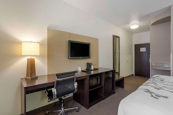 Suite, 1 King Bed with Sofa bed, Accessible, Non Smoking