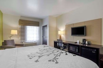 Suite, 1 King Bed with Sofa bed, Accessible, Non Smoking
