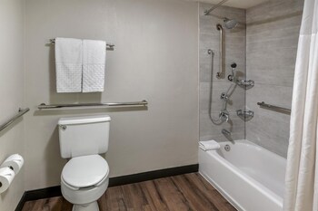 Suite, 1 King Bed, Accessible, Kitchen (with Sofabed)
