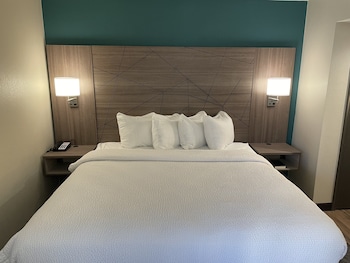 Suite, 1 King Bed, Accessible, Kitchen (with Sofabed)