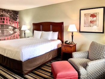 Room, 1 King Bed, Non Smoking