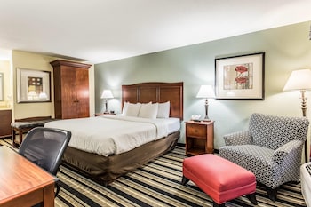 Room, 1 King Bed, Non Smoking