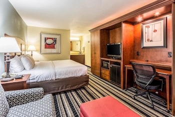 Room, 1 King Bed with Sofa bed, Non Smoking