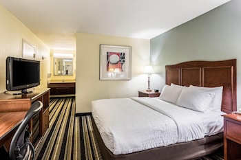 Room, 1 King Bed, Non Smoking