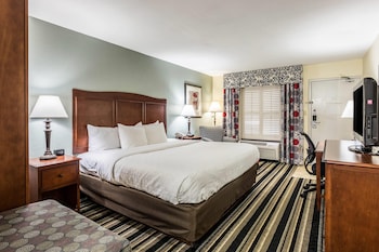 Room, 1 King Bed, Non Smoking