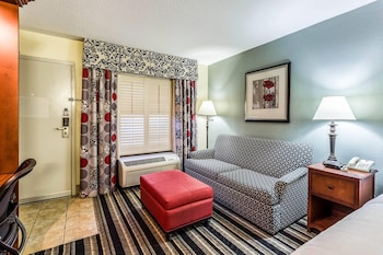 Room, 1 King Bed with Sofa bed, Non Smoking
