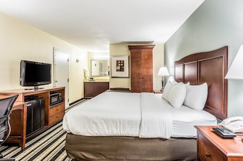 Room, 1 King Bed, Non Smoking
