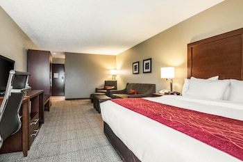 Standard Room, 1 King Bed with Sofa bed, Non Smoking