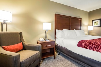 Room, 1 King Bed, Accessible, Non Smoking