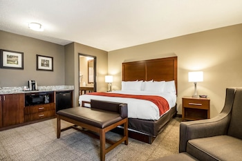 Standard Room, 1 King Bed with Sofa bed, Non Smoking