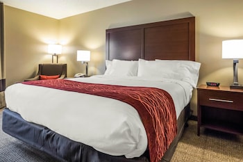 Room, 1 King Bed, Accessible, Non Smoking