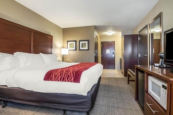 Room, 1 King Bed, Accessible, Non Smoking