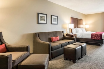 Standard Room, 1 King Bed with Sofa bed, Non Smoking