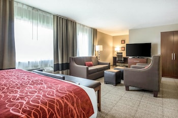 Standard Room, 1 King Bed with Sofa bed, Non Smoking