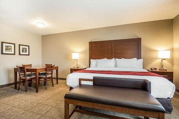 Standard Room, 1 King Bed with Sofa bed, Non Smoking