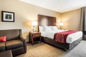 Standard Room, 1 King Bed with Sofa bed, Non Smoking