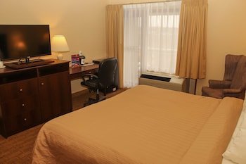 Standard Room, 1 King Bed, Non Smoking