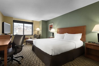 Suite, 1 King Bed with Sofa bed