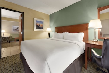 Suite, 1 King Bed with Sofa bed