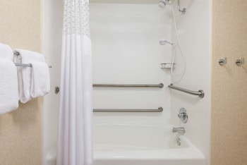 One Queen Bed, Non-Smoking, Accessible Roll In Shower