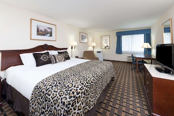 Room, 1 King Bed, Non Smoking