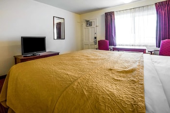 Standard Room, 1 King Bed, Non Smoking (1st Floor)