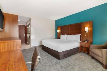 Standard Room, 1 King Bed, Non Smoking