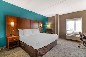 Standard Room, 1 King Bed, Non Smoking