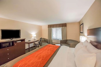 Standard Room, 1 King Bed, Non Smoking