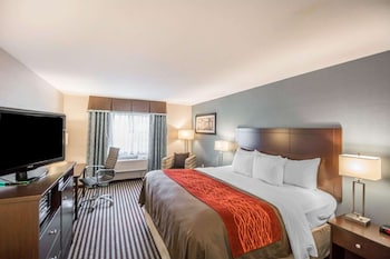 Standard Room, 1 King Bed, Non Smoking