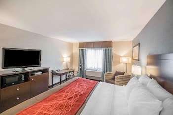 Standard Room, 1 King Bed, Non Smoking