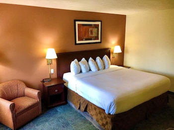 Room, 1 King Bed, Non Smoking
