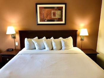 Room, 1 King Bed, Non Smoking