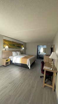 Room, 1 King Bed, Non Smoking