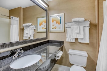 Suite, 1 King Bed, Non Smoking (with Sofabed)